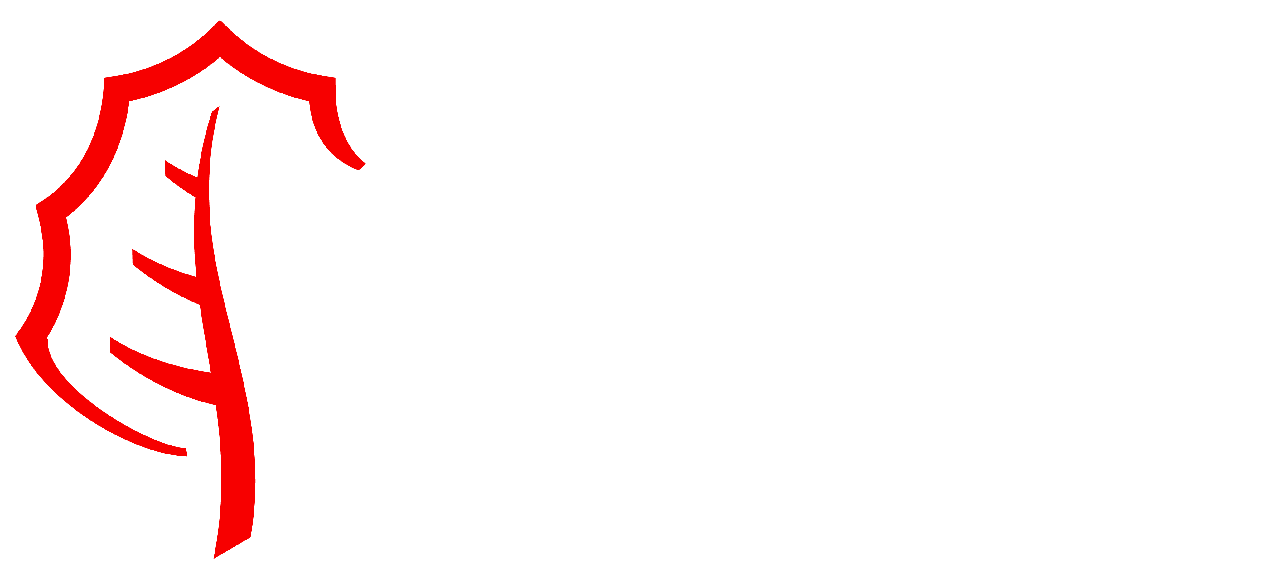 Logo Cliente 2